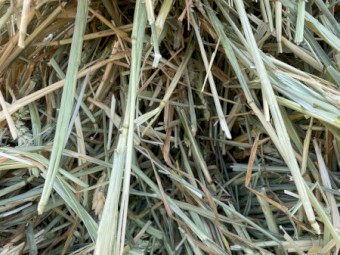 Wheaten Hay for sale just made in October this year