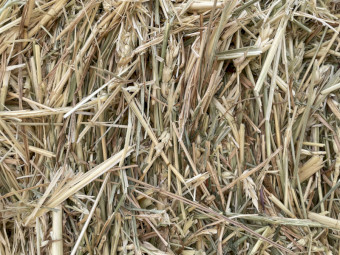 Wheaten Hay for sale just made in October this year