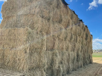 Wheaten Hay for sale just made in October this year