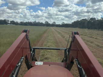 1000 x Atomic Ryegrass Round Rolls