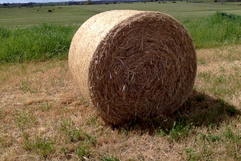 100 x 4ft6x4ft Pasture Hay Rolls (New Season)