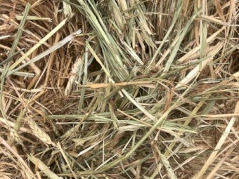 150mt Wheaten Hay 460kg 5x4 Rolls