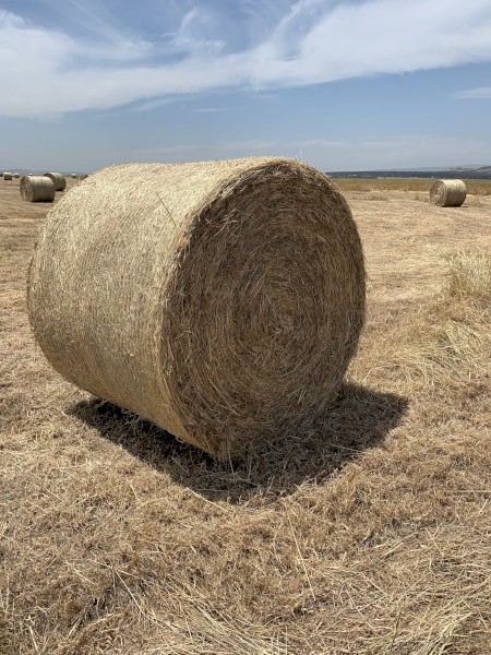 Round Bales per Tonne