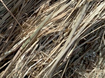 Round Bales per Tonne