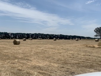 Round Bales per Tonne