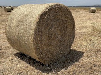 Round Bales per Tonne
