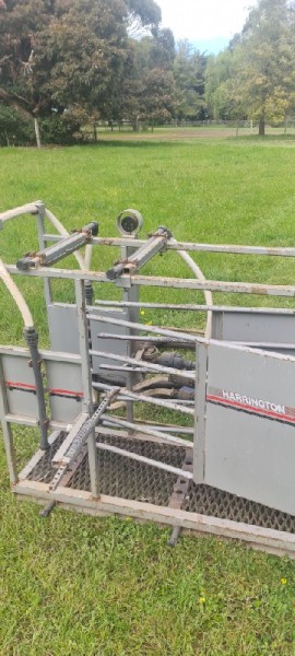 Sheep Jetter 
