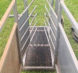Sheep Jetter 