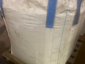 Rye Corn Seed