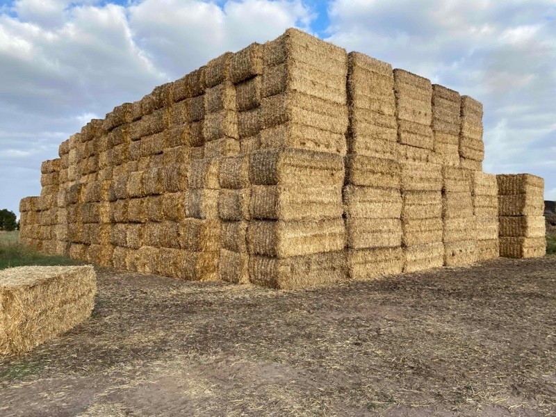 Cereal Straw Tops