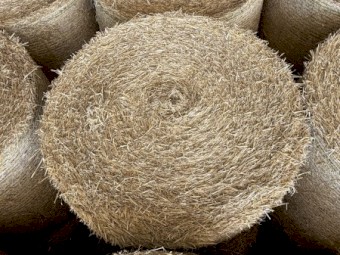 Barley Straw Rolls