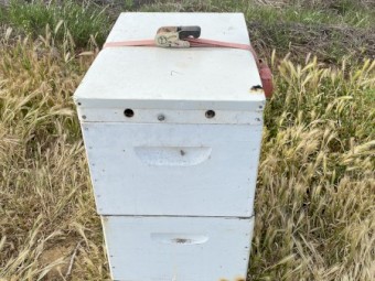 Beehives x 10