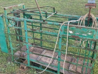 Sheep and Lamb Weighing Cradle