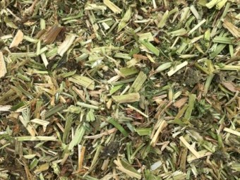 Clover Hay 8x4x3 Bales
