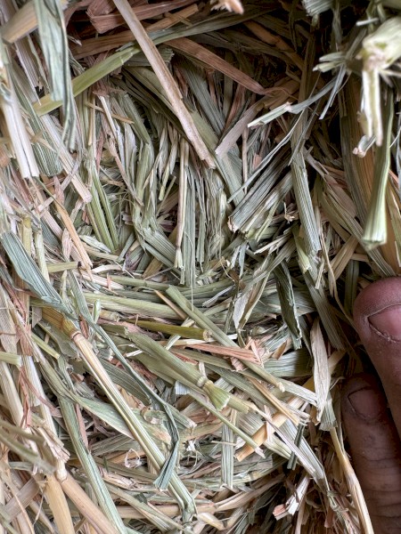 Wheaten Hay 8x4x3 Bales $140/bale