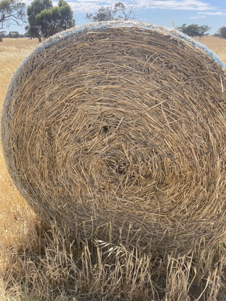 138 x Kraken Barley Hay 5x4 Round Bales