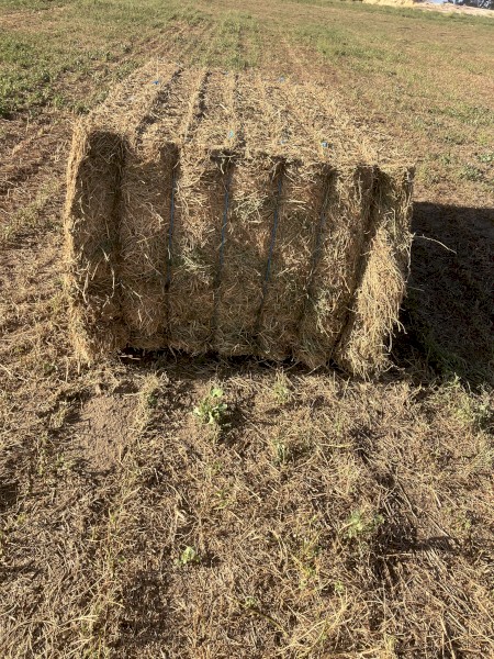 Vetch Hay 680kg 8x4x3 Bales