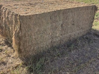 Vetch Hay 680kg 8x4x3 Bales