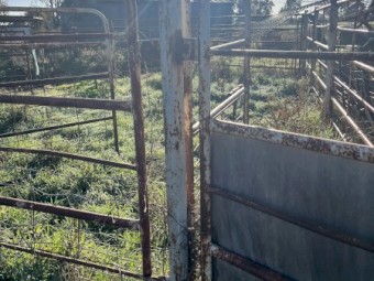 Cattle Crush and Yard Panels