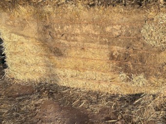 31mt Vetch/Oaten Hay 700kg 8x4x3 Bales