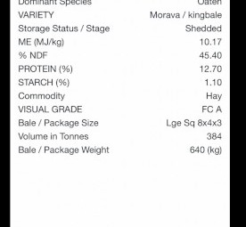 31mt Vetch/Oaten Hay 700kg 8x4x3 Bales