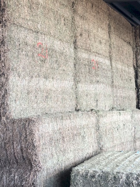 200mt Vetch Hay 600kg+ 8x4x3 Bales + Freight