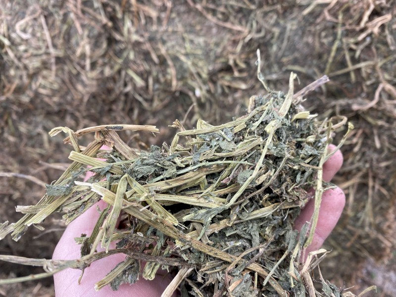 300t Shedded Vetch Hay 640kg 8x4x3