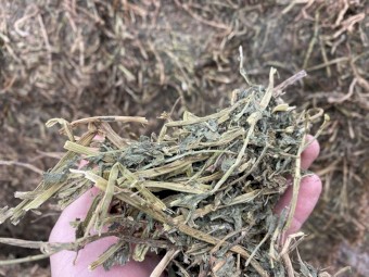300t Shedded Vetch Hay 640kg 8x4x3