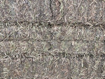 300t Shedded Vetch Hay 640kg 8x4x3