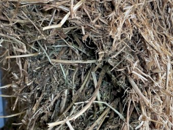 250mt Vetch Hay 8x4x3 Bales (2020)