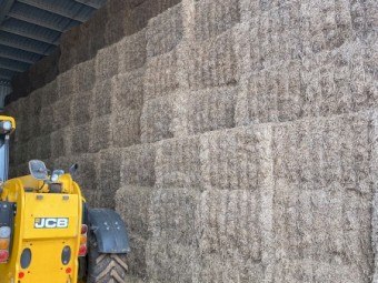 250mt Vetch Hay 8x4x3 Bales (2020)