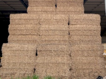 250mt Vetch Hay 8x4x3 Bales (2020)