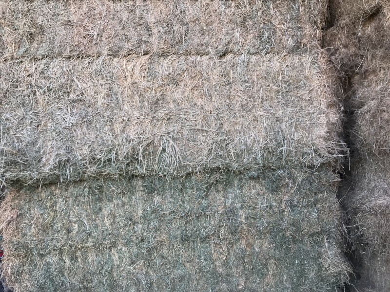 Lucerne hay 8x4x3