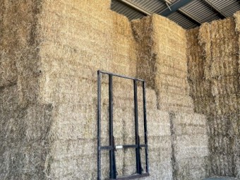 Oaten Hay 8x4x3 Bales