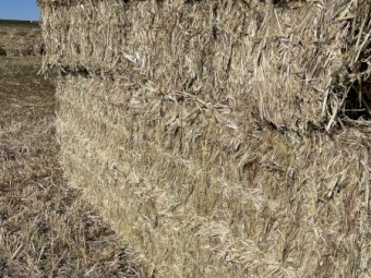 Oaten Hay 8x4x3 Bales