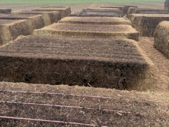 120mt Vetch Hay Tops and Seconds Bales