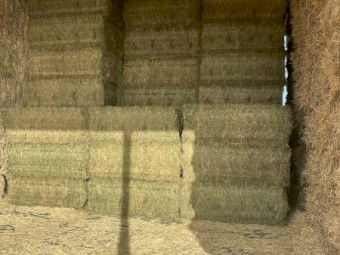 85mt Lucerne Hay 700-750kg 8x4x3 Bales