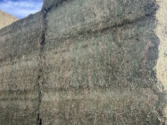 85mt Lucerne Hay 700-750kg 8x4x3 Bales