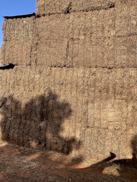 200mt Vetch Hay 8x4x3 Bales
