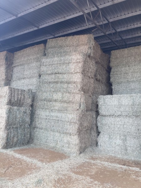 Lucerne Hay 8x4x3 Bales