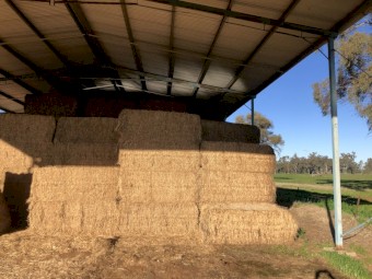 24mt Lucerne Hay 600kg 8x4x3 Bales