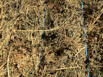 24mt Lucerne Hay 600kg 8x4x3 Bales