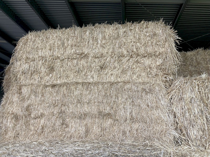 Wheaten/ Ryegrass Hay
