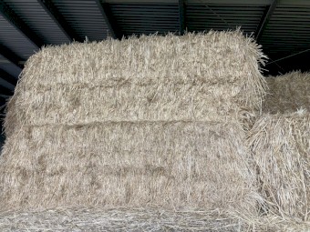 Wheaten/ Ryegrass Hay