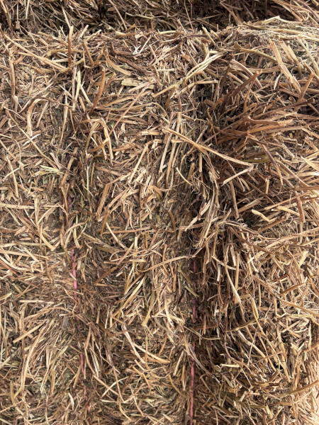490mt Vetch Hay 620kg 8x4x3 Bales