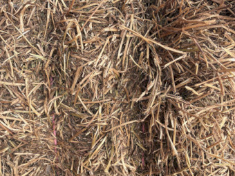 490mt Vetch Hay 620kg 8x4x3 Bales