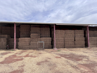 490mt Vetch Hay 620kg 8x4x3 Bales