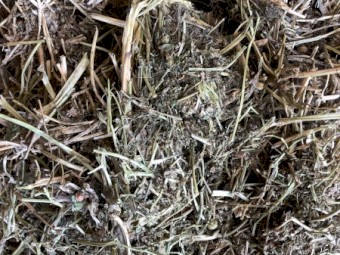 Vetch/Medic Hay 580kg 8x4x3 Bales