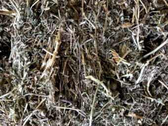 Vetch/Medic Hay 580kg 8x4x3 Bales