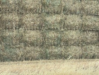 Barley Hay 680-720kg 8x4x3 Bales